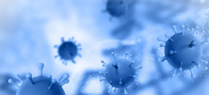 Candida Fungus Makes You Fat?