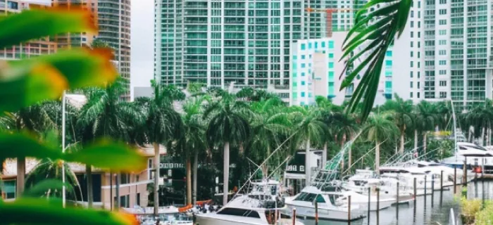 Medical Tourism Miami